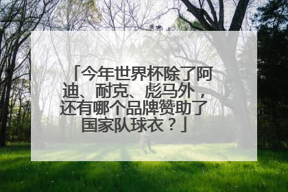 今年世界杯除了阿迪、耐克、彪马外，还有哪个品牌赞助了国家队球衣？