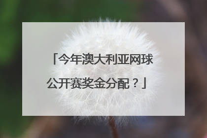 今年澳大利亚网球公开赛奖金分配？