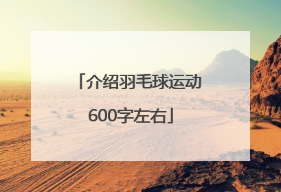 介绍羽毛球运动600字左右