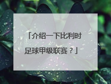 介绍一下比利时足球甲级联赛？