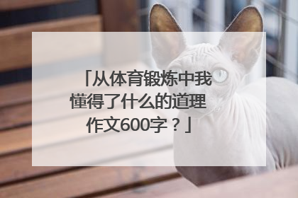 从体育锻炼中我懂得了什么的道理作文600字？