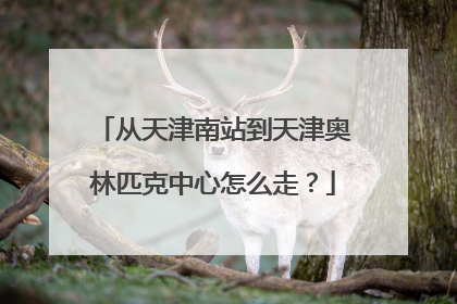 从天津南站到天津奥林匹克中心怎么走？