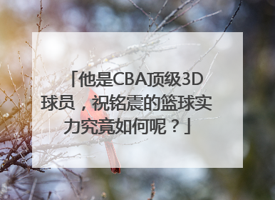 他是CBA顶级3D球员，祝铭震的篮球实力究竟如何呢？