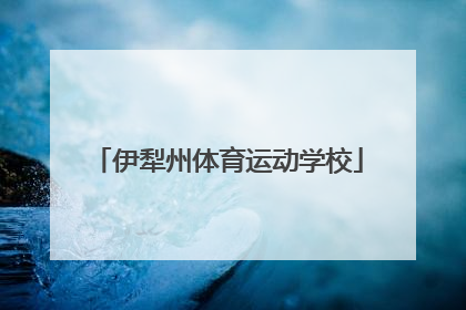 「伊犁州体育运动学校」喀什体育运动学校