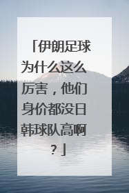 伊朗足球为什么这么厉害，他们身价都没日韩球队高啊？