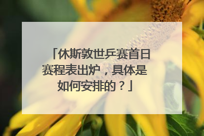 休斯敦世乒赛首日赛程表出炉，具体是如何安排的？