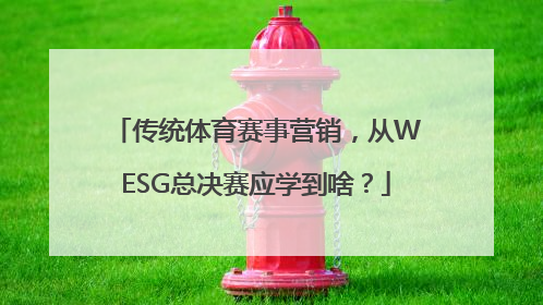 传统体育赛事营销，从WESG总决赛应学到啥？