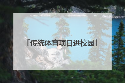 「传统体育项目进校园」传统体育项目进校园总结