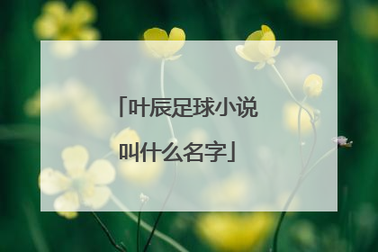 叶辰足球小说叫什么名字