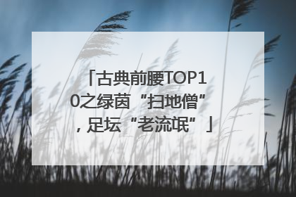 古典前腰TOP10之绿茵“扫地僧”，足坛“老流氓”