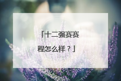 十二强赛赛程怎么样？