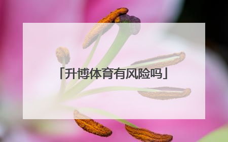 升博体育有风险吗