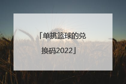 单挑篮球的兑换码2022