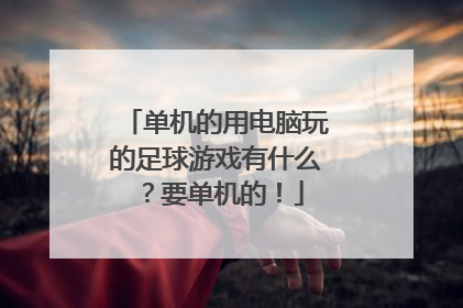 单机的用电脑玩的足球游戏有什么？要单机的！