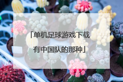 单机足球游戏下载   有中国队的那种