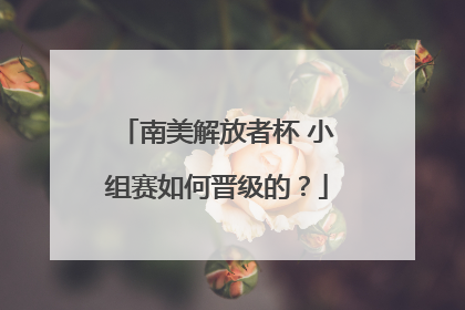 南美解放者杯 小组赛如何晋级的？