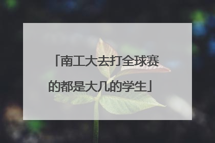 南工大去打全球赛的都是大几的学生