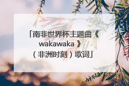 南非世界杯主题曲《wakawaka 》（非洲时刻）歌词