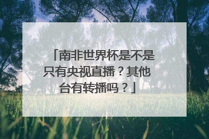 南非世界杯是不是只有央视直播？其他台有转播吗？