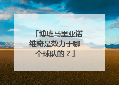 博班马里亚诺维奇是效力于哪个球队的？