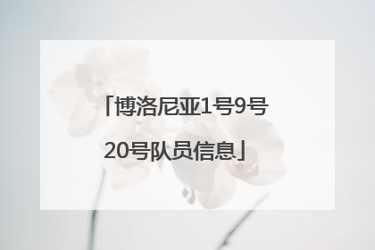 博洛尼亚1号9号20号队员信息