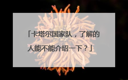 卡塔尔国家队，了解的人能不能介绍一下？