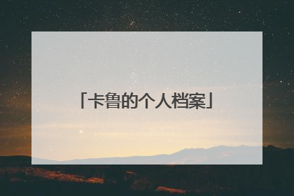 卡鲁的个人档案