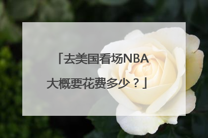 去美国看场NBA大概要花费多少？