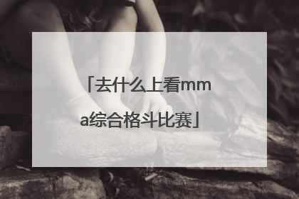 去什么上看mma综合格斗比赛