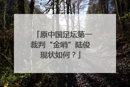 原中国足坛第一裁判“金哨”陆俊现状如何？