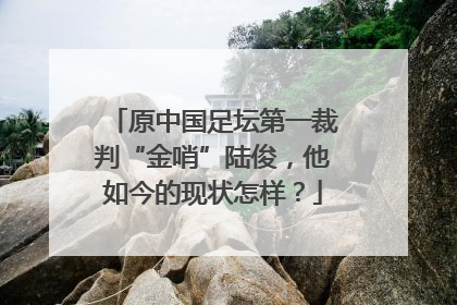 原中国足坛第一裁判“金哨”陆俊，他如今的现状怎样？