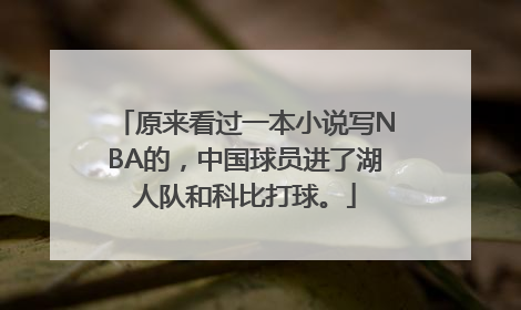 原来看过一本小说写NBA的，中国球员进了湖人队和科比打球。