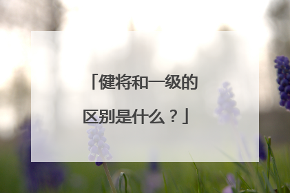 健将和一级的区别是什么？