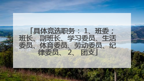 具体竞选职务： 1、班委；班长、副班长、学习委员、生活委员、体育委员、劳动委员、纪律委员、 2、 团支