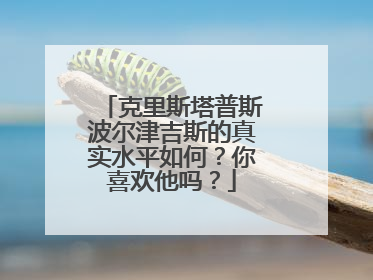 克里斯塔普斯波尔津吉斯的真实水平如何？你喜欢他吗？