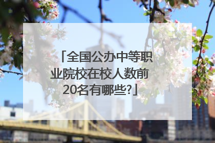 全国公办中等职业院校在校人数前20名有哪些?