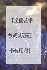 全国艺术考试认证证书有用吗