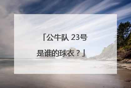 公牛队 23号是谁的球衣？