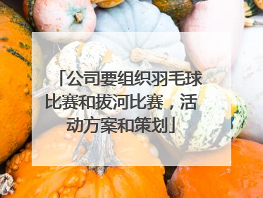 公司要组织羽毛球比赛和拔河比赛，活动方案和策划