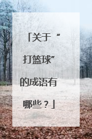 关于“打篮球”的成语有哪些？