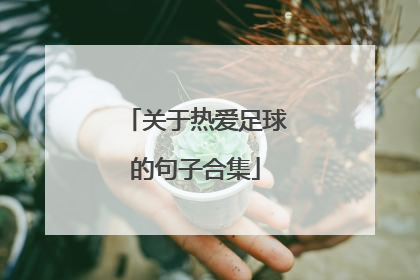 关于热爱足球的句子合集