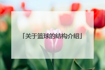 关于篮球的结构介绍