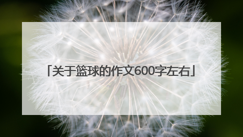 关于篮球的作文600字左右