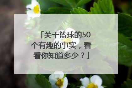 关于篮球的50个有趣的事实，看看你知道多少？