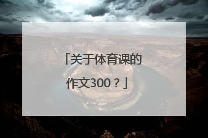 关于体育课的作文300？