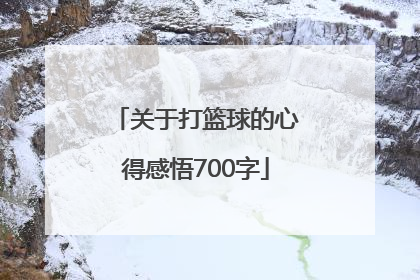 关于打篮球的心得感悟700字