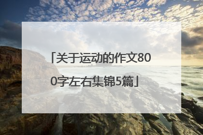 关于运动的作文800字左右集锦5篇