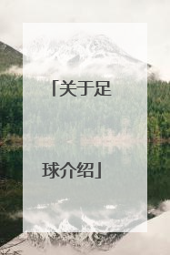 「关于足球介绍」关于足球介绍论文