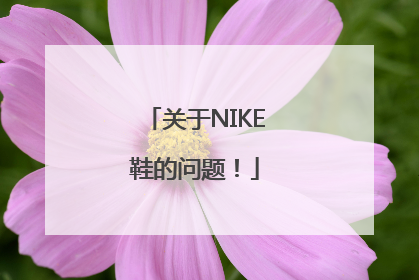 关于NIKE鞋的问题！