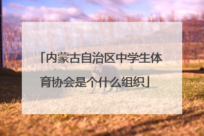 内蒙古自治区中学生体育协会是个什么组织